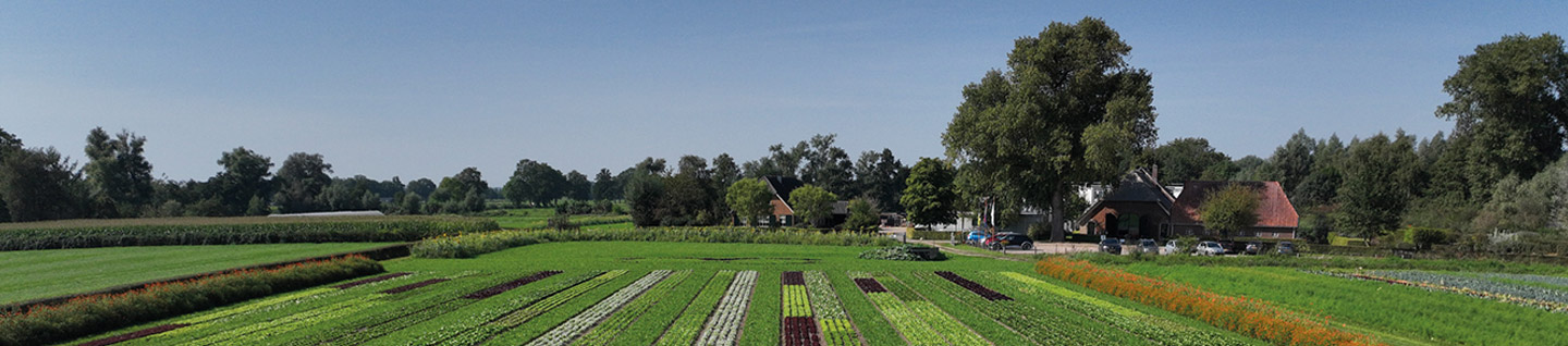 Panoramica di Vitalis con coltivazione a strisce